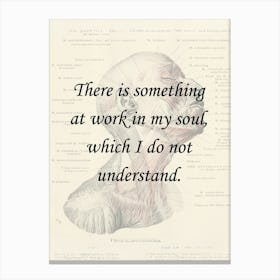 There Is Something At Work In My Soul Mary Shelley Quote Canvas Print