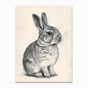Chinchilla Blockprint Rabbit Illustration 8 Canvas Print