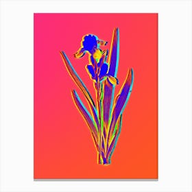 Neon Tall Bearded Iris Botanical in Hot Pink and Electric Blue n.0084 Canvas Print