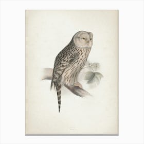 Vintage Lear 2 Ural Owl Canvas Print