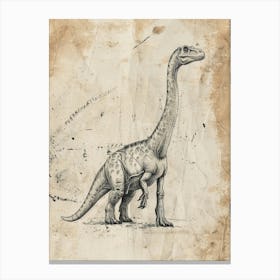 Plateosaurus Dinosaur Black Ink & Sepia Illustration 1 Canvas Print