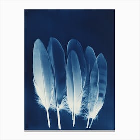 Feathers VII Canvas Print