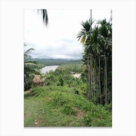 View Of A River Canvas Print