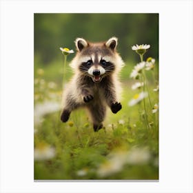 Cute Funny Cozumel Raccoon Running On A Field Wild 2 Canvas Print