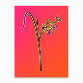Neon Gladiolus Ringens Botanical in Hot Pink and Electric Blue n.0583 Canvas Print