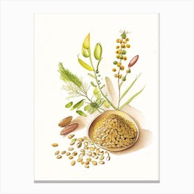Fenugreek Seed Spices And Herbs Pencil Illustration 1 Canvas Print