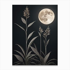 Moonlight Over Tall Grass Canvas Print