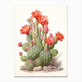 Vintage Cactus Illustration Woolly Torch Cactus 1 Canvas Print