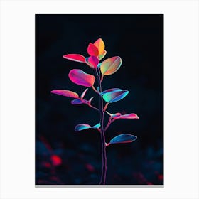 Colorful Plant Canvas Print