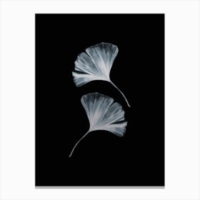 Ginko Black And White Handrawn Canvas Print