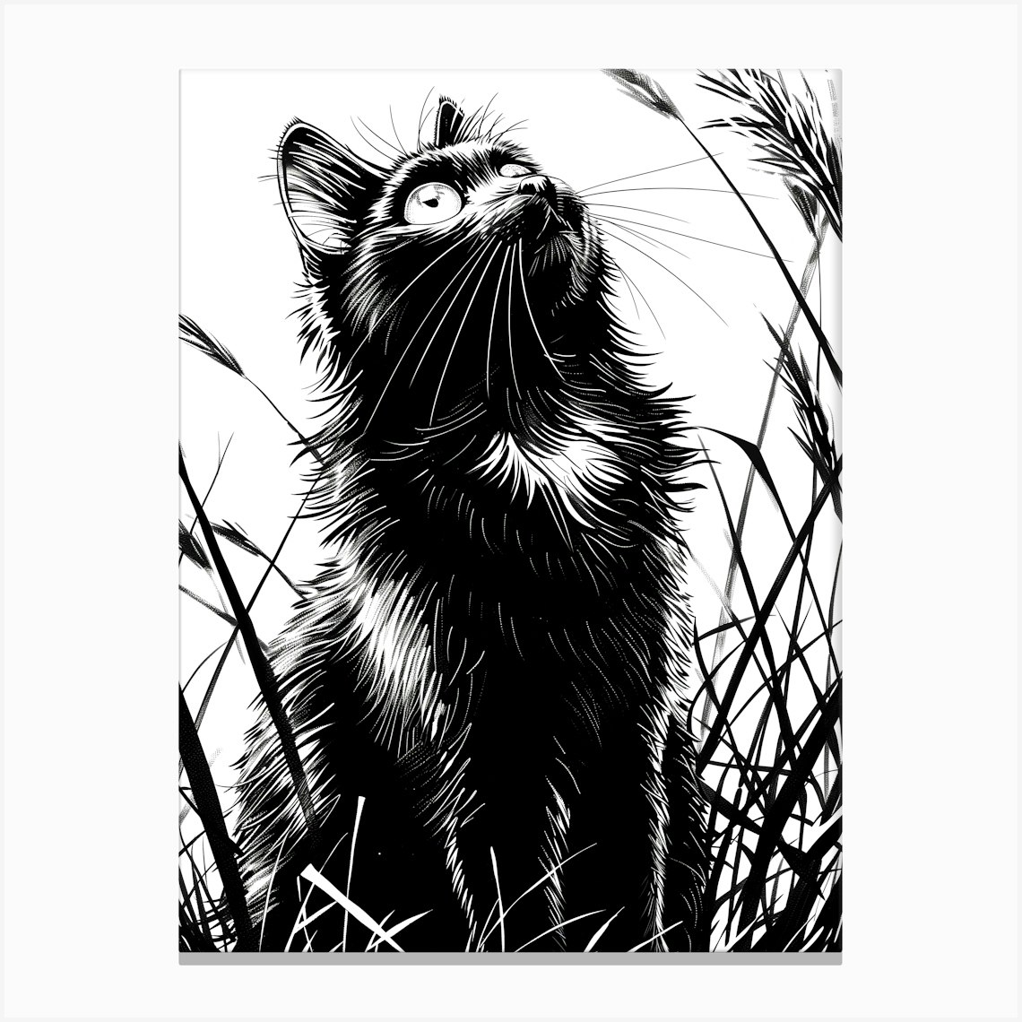 Cat In The Grass Canvas Print by JBJart Justyna Jaszke