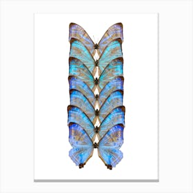 Row Of Bright Blue Butterflies Canvas Print