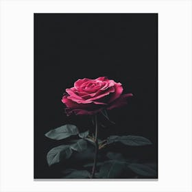 Black Rose 8 Canvas Print