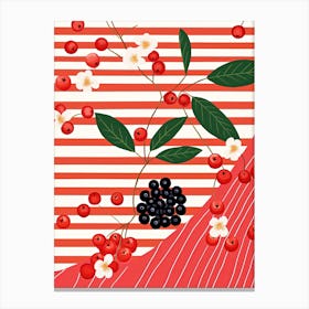 Cranberries Fruit Summer Illustration 1 Canvas Print