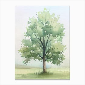 Linden Tree Atmospheric Watercolour Painting 1 Canvas Print