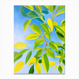 Croton Bold Graphic Plant Canvas Print