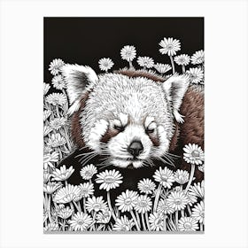 Red Panda Resting In A Field Of Daisies Ink Illustration 3 Canvas Print