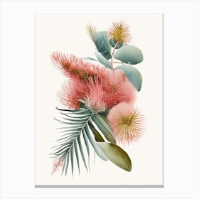 Pincushion Hakea Fern Watercolour Canvas Print