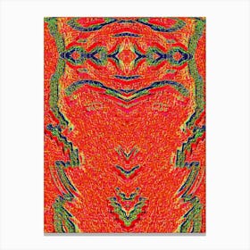 Psychedelic By Person Canvas Print