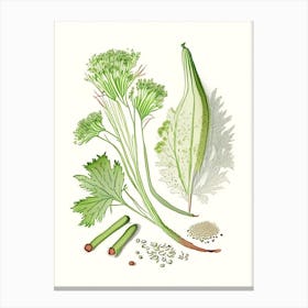Celery Seed Spices And Herbs Pencil Illustration 3 Canvas Print
