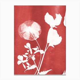 Red Flowers 1 Canvas Print