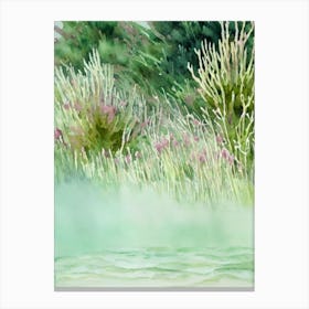 Acropora Plana Storybook Watercolour Canvas Print