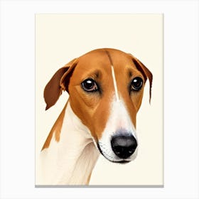 Whippet Illustration dog Canvas Print