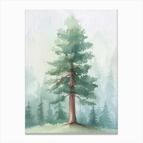 Redwood Tree Atmospheric Watercolour Painting 4 Canvas Print