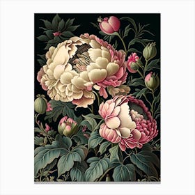 Cottage Gardens Peonies Vintage Botanical Canvas Print