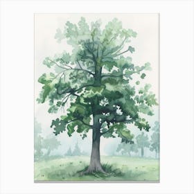Alder Tree Atmospheric Watercolour Painting 1 Canvas Print