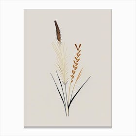 Horsetail Spices And Herbs Retro Minimal 3 Canvas Print