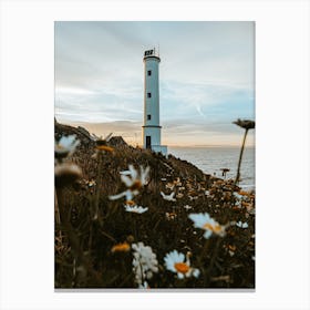 Daisies And Lighthouse Canvas Print