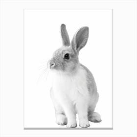 Monochrome Bunny Canvas Print