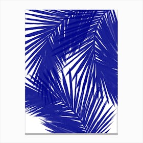 Royal Palms Canvas Print