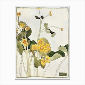 Marsh Marigold (1915), Hannah Borger Overbeck Canvas Print
