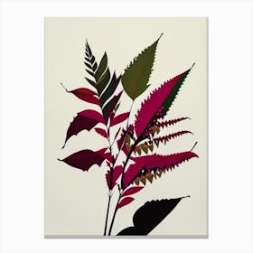 Poison Sumac Minimal Line Drawing 1 Canvas Print