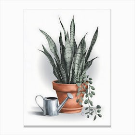 Snake Plant In A Pot Canvas Print