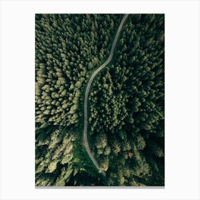 Street Through The Forest, Edition 2 Canvas Print