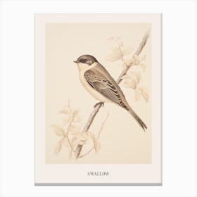 Vintage Bird Drawing Swallow 2 Poster Canvas Print