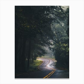 Road In The Woods Canvas Print