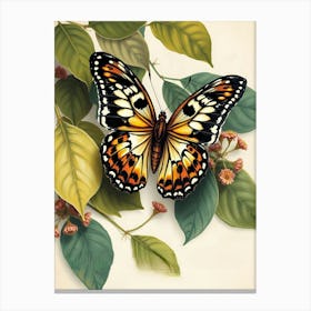 Butterfly On A Leaf Canvas Print