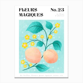 Apricot Blossom Botanical Print Canvas Print