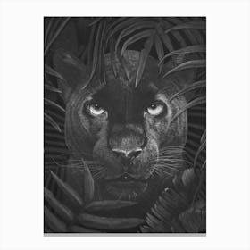Panther In Jungle Canvas Print