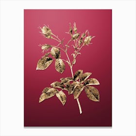Gold Botanical Evrat's Rose with Crimson Buds on Viva Magenta n.2926 Canvas Print