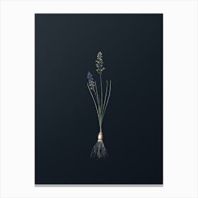 Vintage Autumn Squill Botanical Watercolor Illustration on Dark Teal Blue n.0130 Canvas Print