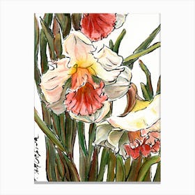 Spring Daffodils Watercolor Sketch Canvas Print