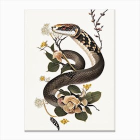 Red Tailed Boa Snake Gold And Black Canvas Print
