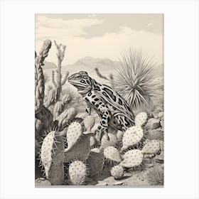 Desert Wave Frog Drawing 1 Canvas Print