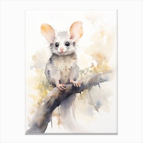 Light Watercolor Painting Of A Playful Possum 2 Canvas Print