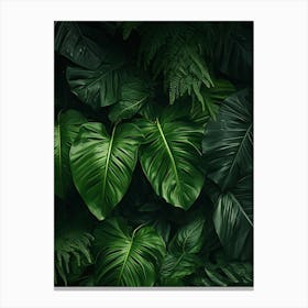 Tropical Leaves Background Canvas Print